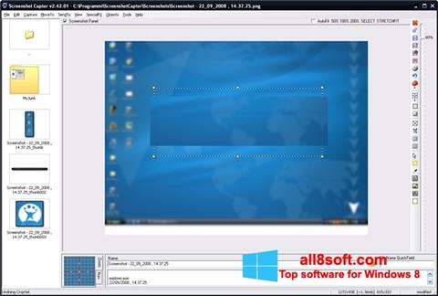 Ekran görüntüsü ScreenShot Windows 8