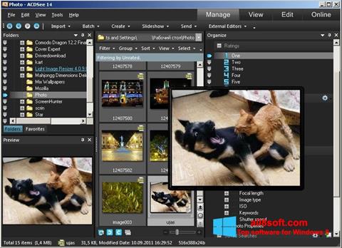 Ekran görüntüsü ACDSee Photo Manager Windows 8