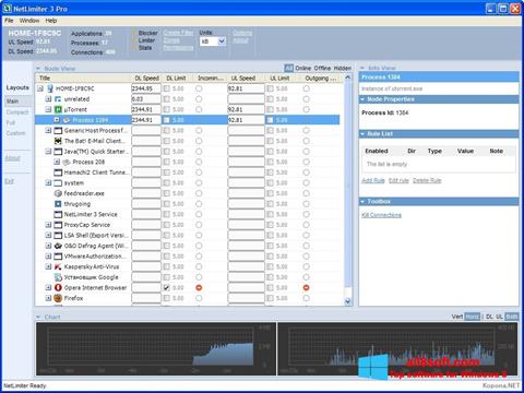 Ekran görüntüsü NetLimiter Windows 8