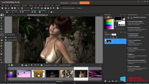 Ekran görüntüsü PaintShop Pro Windows 8