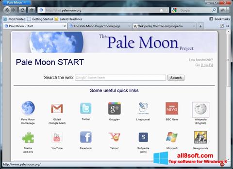 Ekran görüntüsü Pale Moon Windows 8