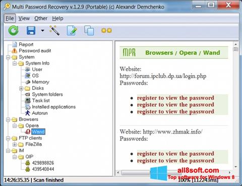 Ekran görüntüsü Multi Password Recovery Windows 8