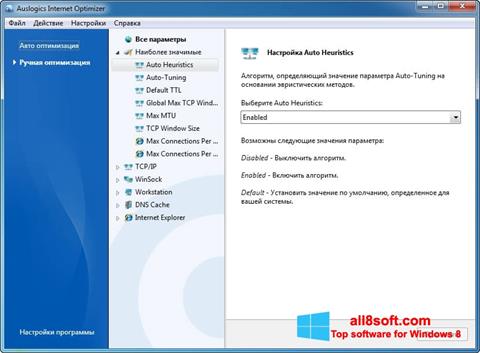Ekran görüntüsü Auslogics Internet Optimizer Windows 8