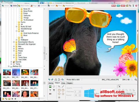 Ekran görüntüsü PhotoScape Windows 8