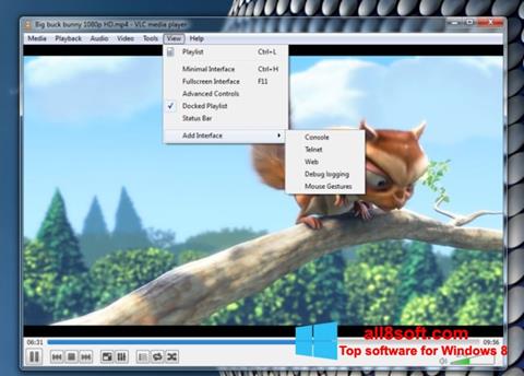 Ekran görüntüsü VLC Media Player Windows 8